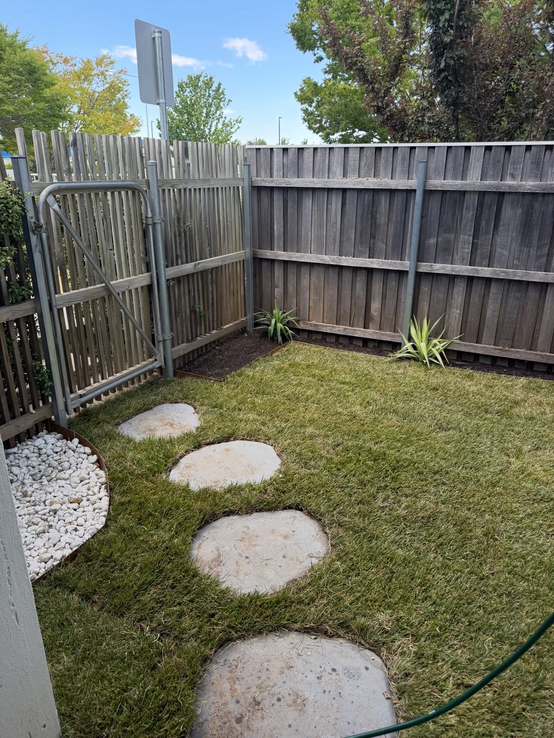 New turf with round concrete stepping stones